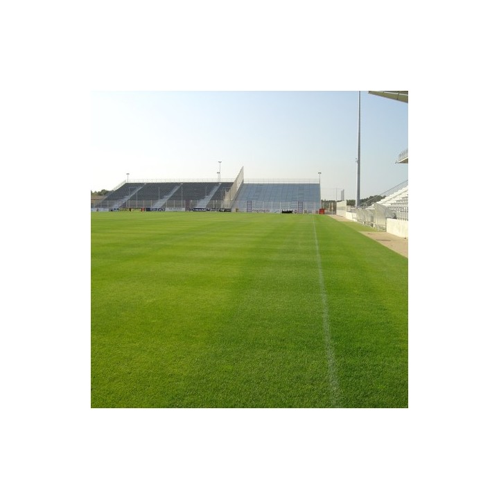 copy of 